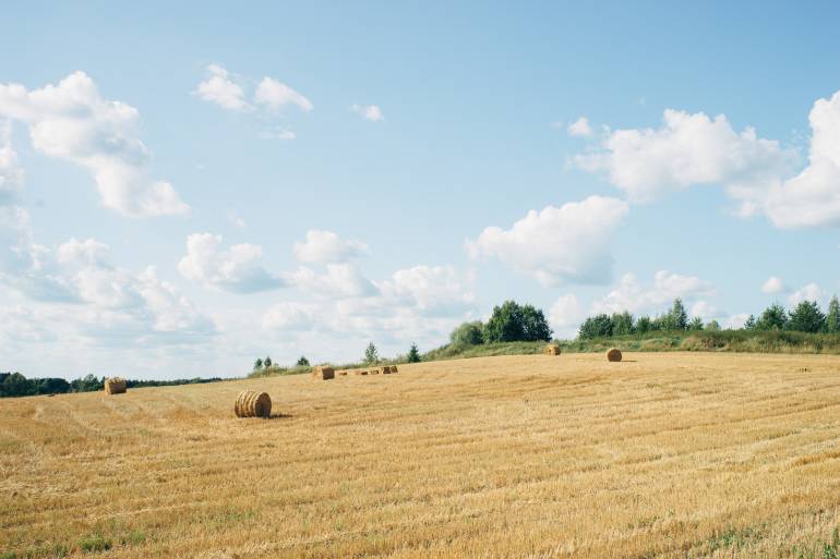 farmtell-smart-hay-field-sunny-sky