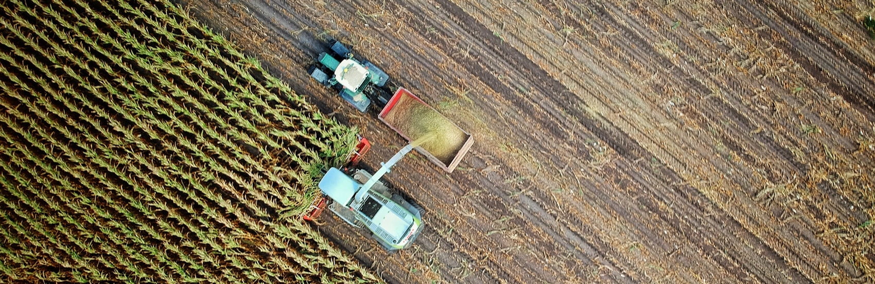 Smart Agriculture